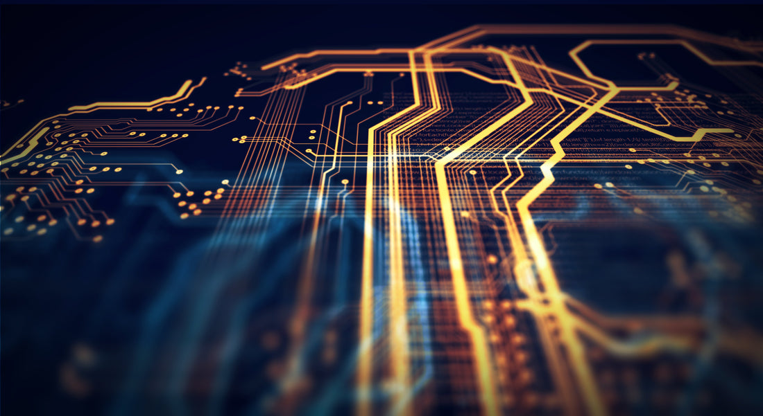 Salute to Veterans 2025!